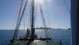DSC03231