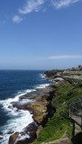 DSC03642