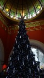 Kerstboom
