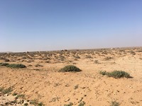 Doorsnee landschap