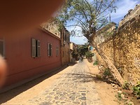 IMG_2420