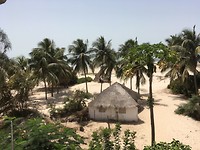 IMG_2455