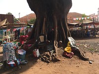IMG_2512
