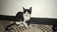 IMG_2799