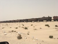 IMG_2817