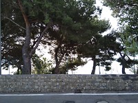 1556436875121