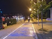 De geanimeerde strandboulevards