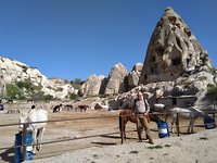 IMG_20190507_090640