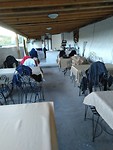 IMG_20190506_182443