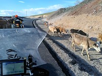 IMG_20190511_170300