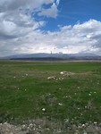 IMG_20190511_114452