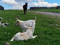 IMG_20190513_150602