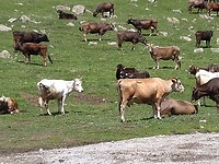 IMG_20190513_121051