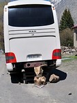 IMG_20190516_142159
