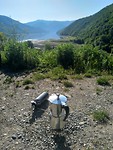 IMG_20190516_081804