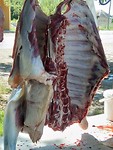 IMG_20190518_103817