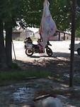IMG_20190518_103808