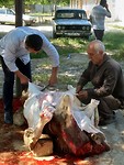 IMG_20190518_095632