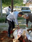 IMG_20190518_095628