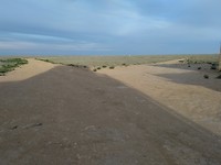 IMG_20190523_075713