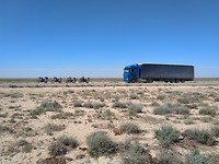 IMG_20190525_113643