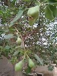 IMG_20190527_192923