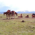 IMG_20190701_203421_764