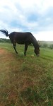 20190717_185927