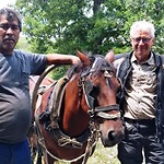 Het aangespannen paard en mijn gastheer