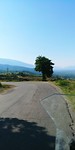 20190721_090916