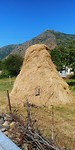 Zo wordt in Albanië overal het hooi opgeslagen