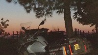 IMG-20190724-WA0008
