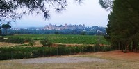 20190725_205828_HDR