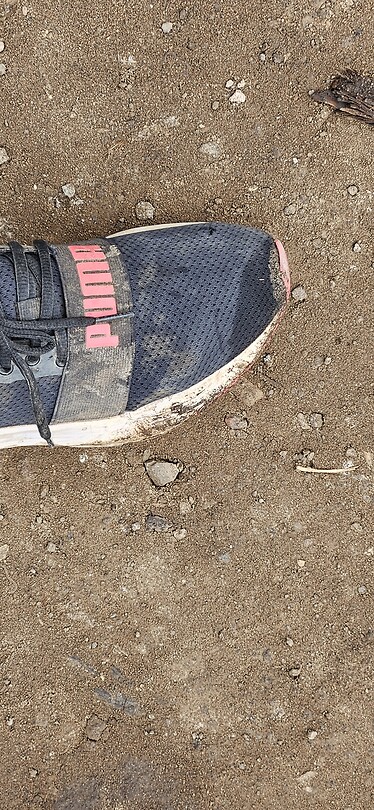 Schoenen
