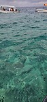 20230810_102439