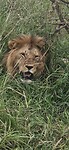 1000024885