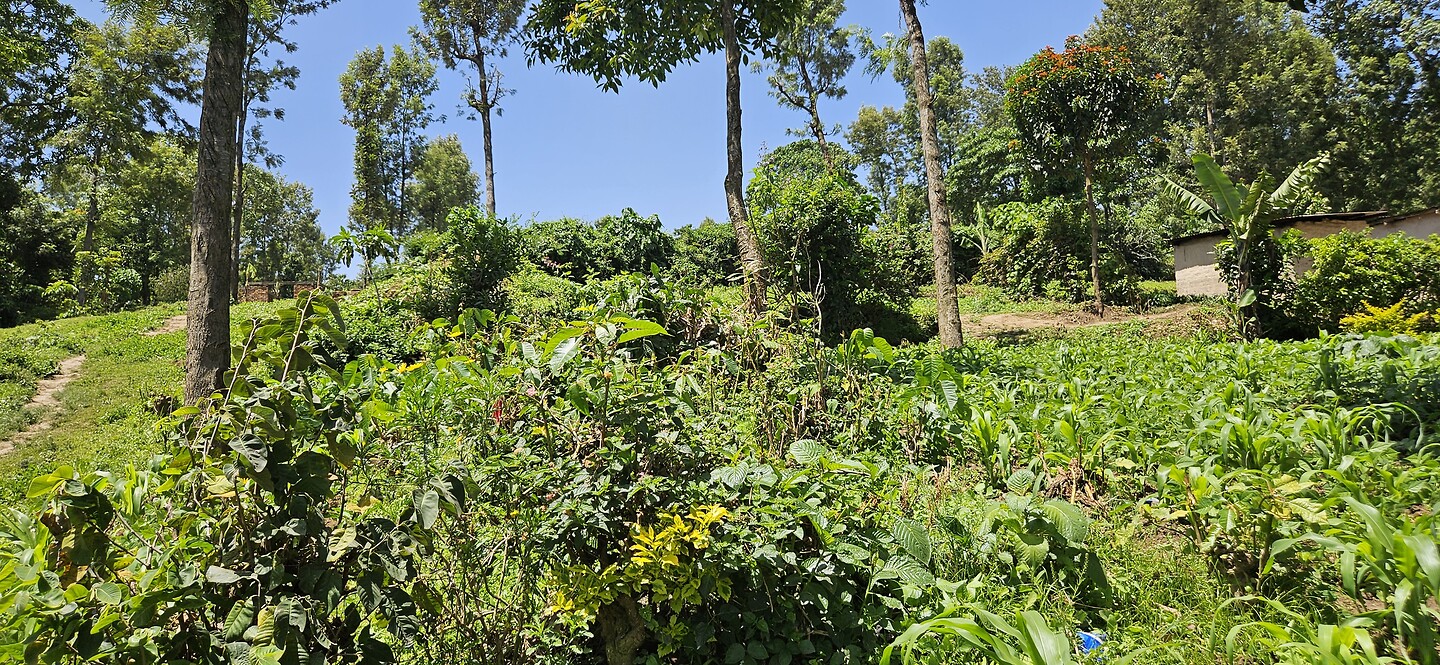 1000056778