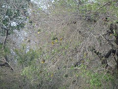 PA100225