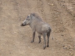 PA110298