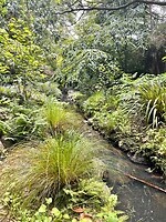 Hagley Park