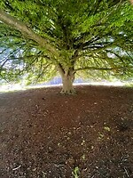 Botanische tuin