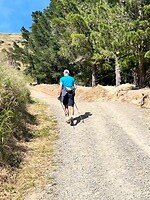 Hike Christchurch