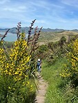 Hike Christchurch
