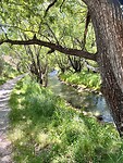 Wandeling Twizel, uitzicht rivier