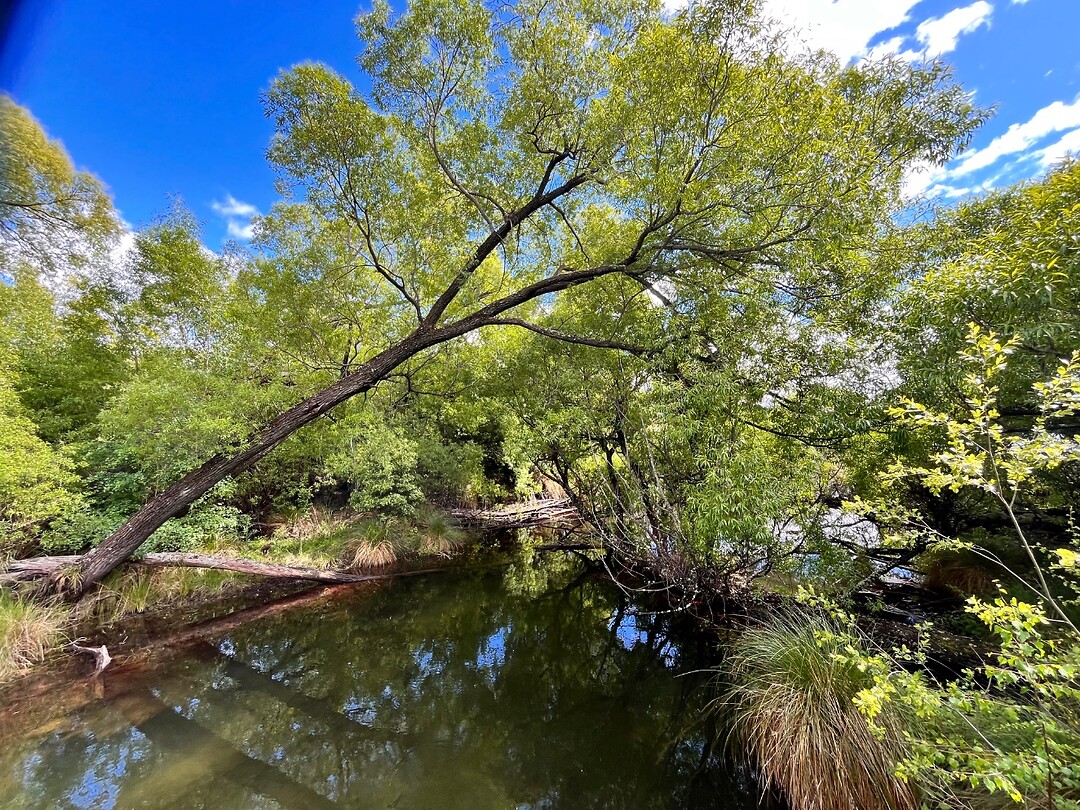 Lake Hayes