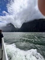 Cruise Milford Sound