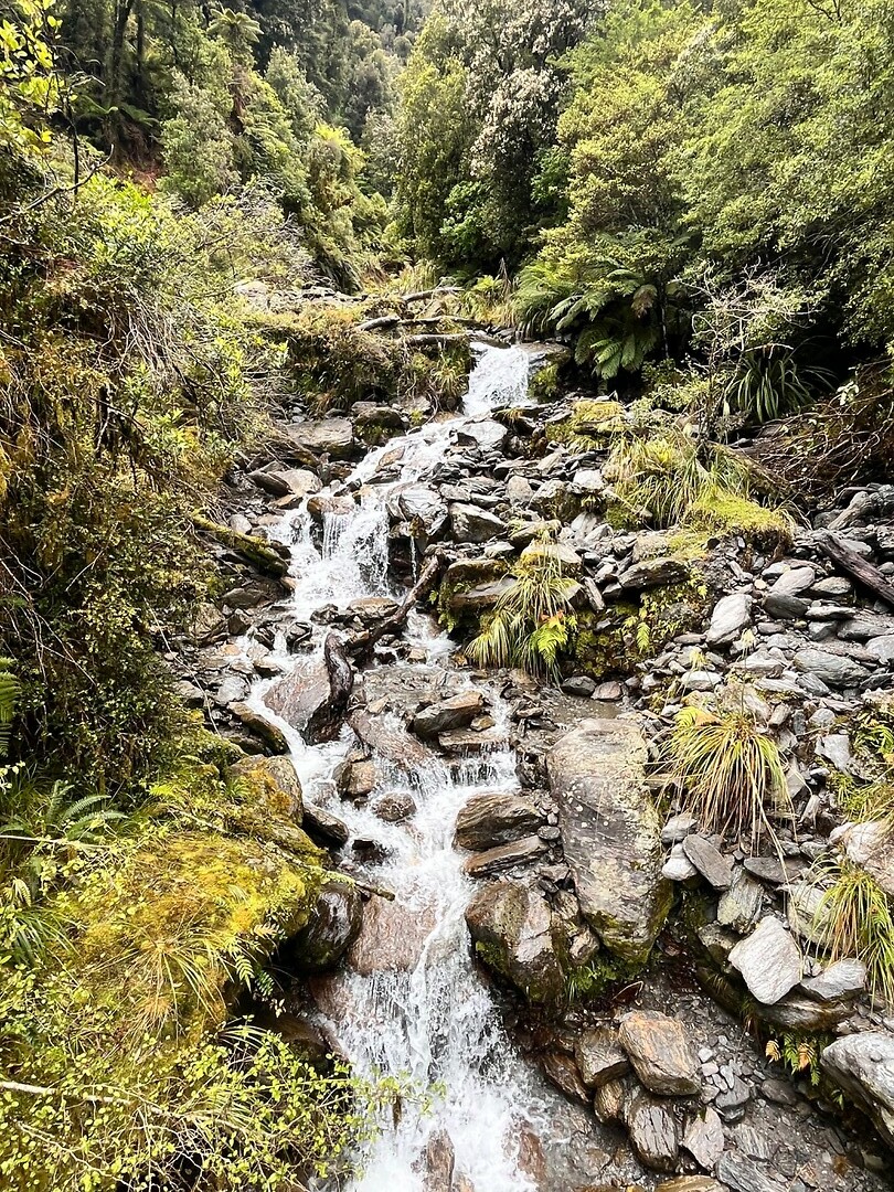 Callery track