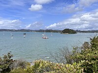 Uitzicht vanaf Lodge Paihia