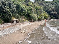 Strand Coromandel Town