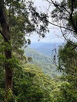 Springbrook National Park